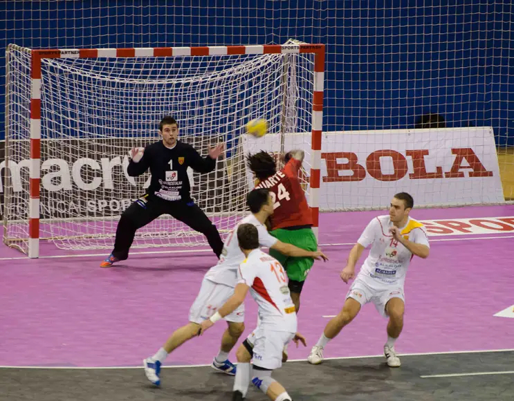 Handball net