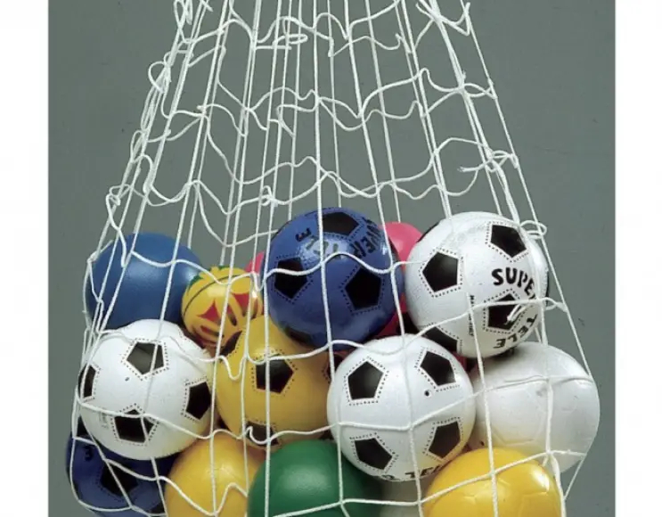 Small ball-carrier net