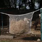 Net for small mobile feeding trough, 80x90 cm - cod.CV0001