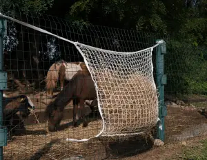 Net for large mobile feeding trough, 180x90 cm - cod.CV0003