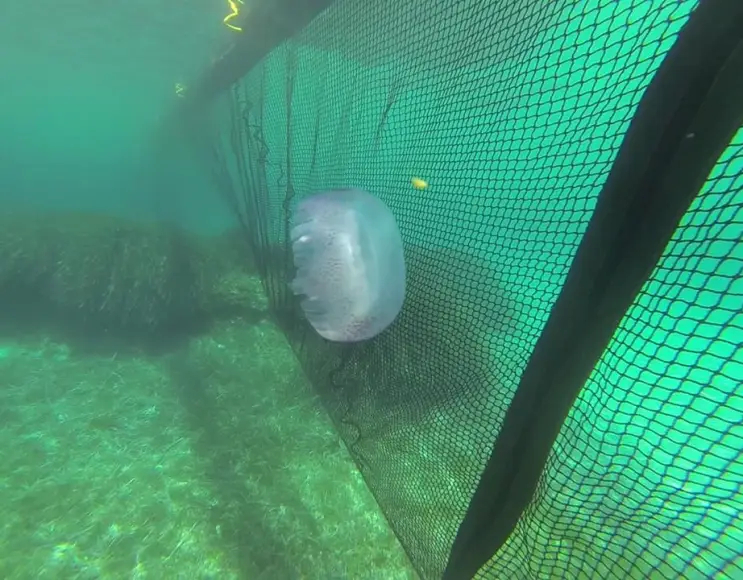 STANDARD MODULE BARRIER AGAINST JELLYFISH AND ALGAE, 20 M LONG