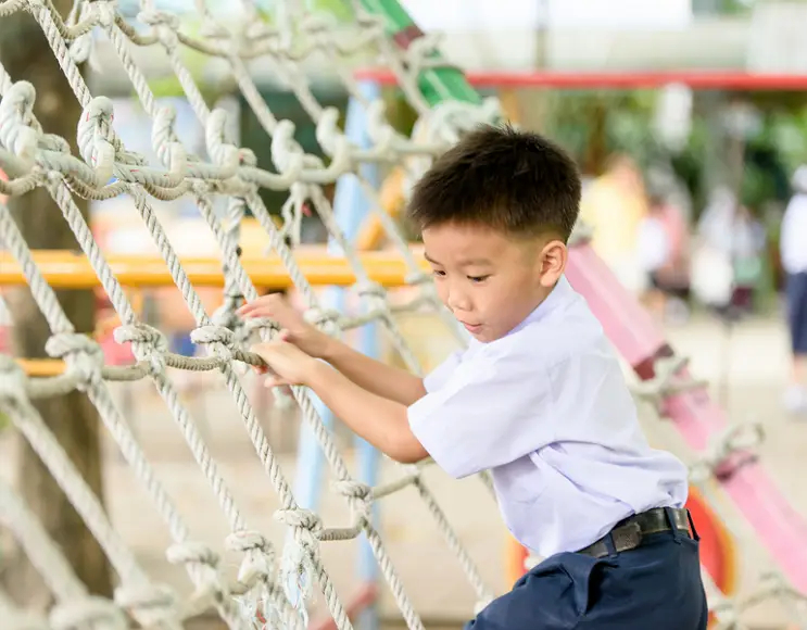 Handmade climbing net, 20 cm