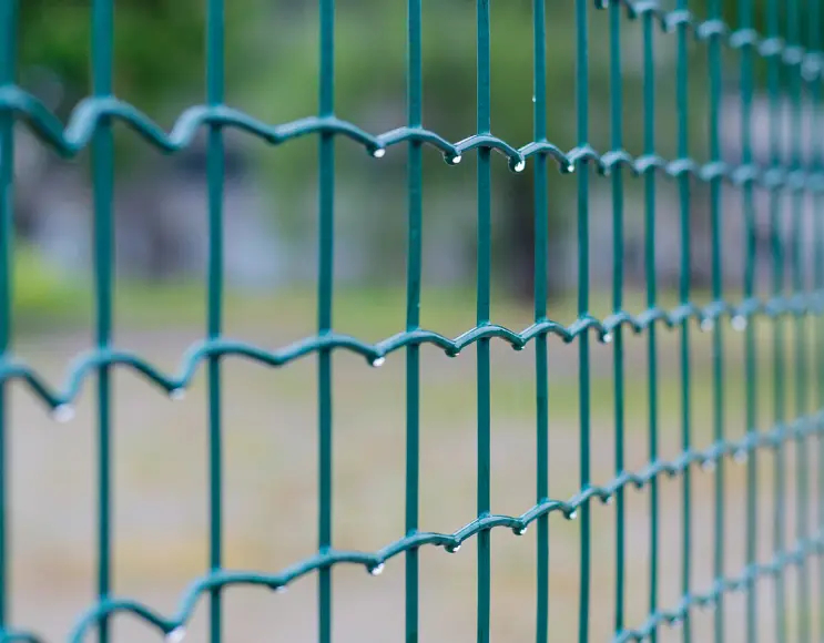 Heavy duty plasticized electro-welded wire mesh