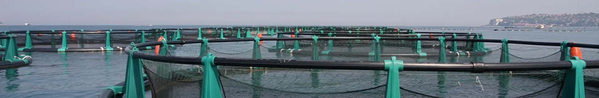 Cages for fish farming and aquaculture with a circular or sq...