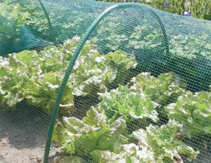 Nets and covers for Agriculture and Gardening