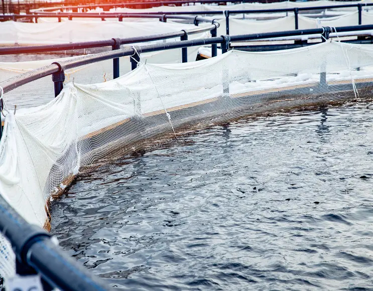 Circular cages for aquaculture and fish farming