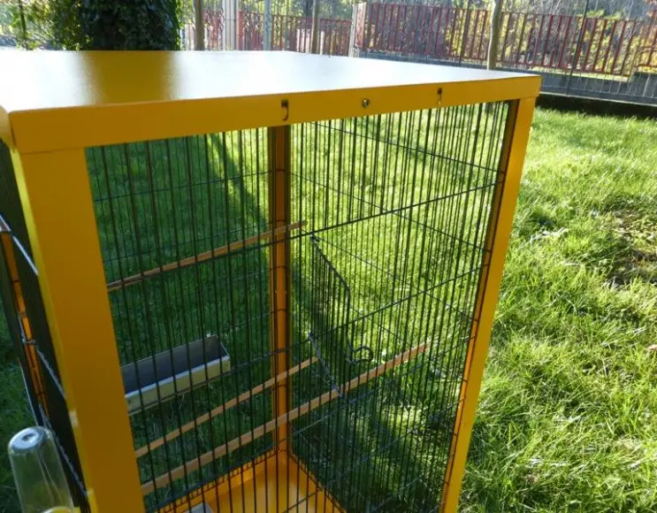 Indoor aviary cage cm 50x50x100 h.
