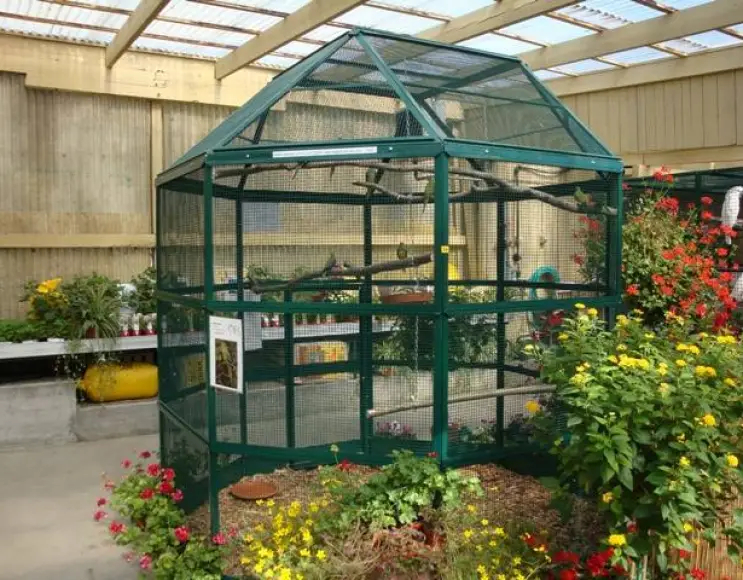 Special aviaries ITALIA MODEL