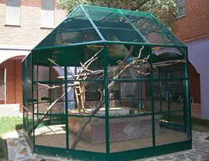 Special aviaries BRESCIA MODEL - cod.VLBG1225