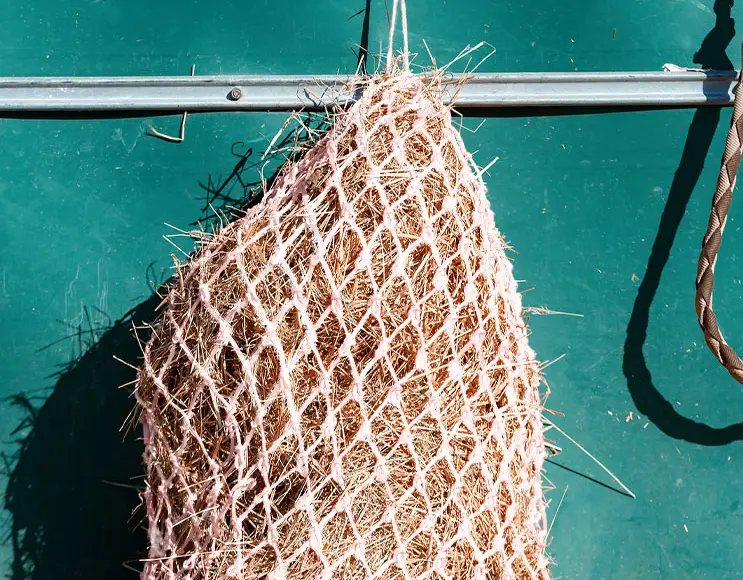 Bag hay nets
