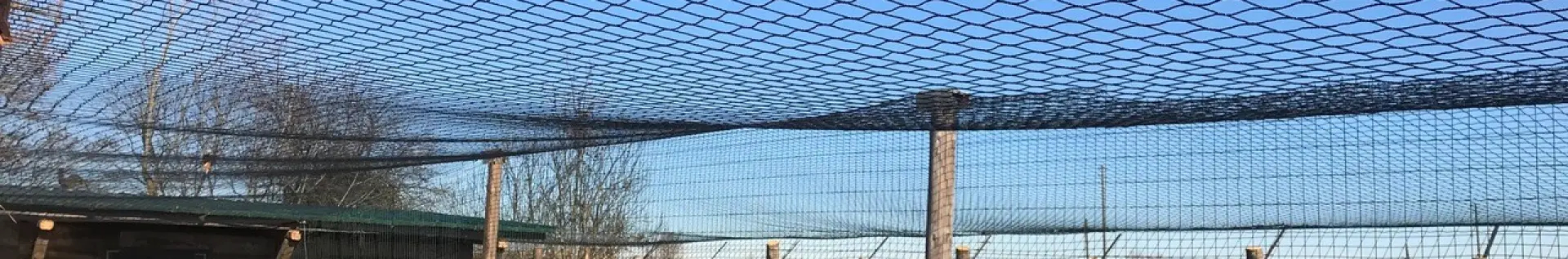 Anti-predator intrusion net and anti-avian net