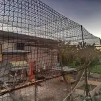 Anti-predator intrusion net and anti-avian net - cod.VPD050