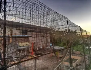 Anti-predator intrusion net and anti-avian net - cod.VPD050