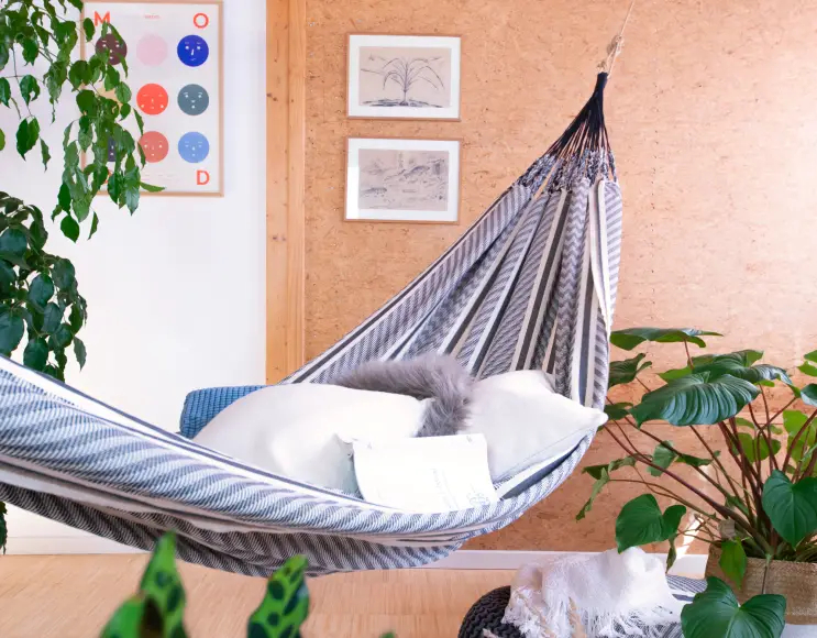 ZEBRA classic hammock