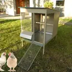 Chicken coop - cod.POL0081