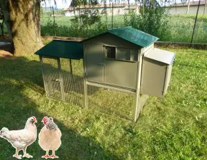 Two-storey chicken coop - cod.POL0082