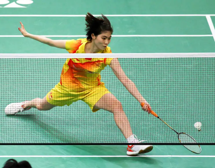 BADMINTON NET