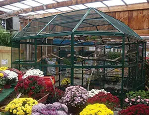 Special aviaries EUROPA MODEL - cod.VLTO2525 alternative